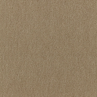 SCHUMACHER FABRICS -64887-SAN CARLO MOHAIR VELVET