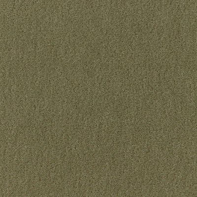 SCHUMACHER FABRICS -64894-SAN CARLO MOHAIR VELVET