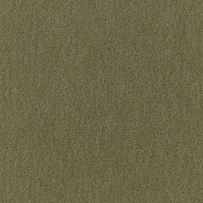Schumacher Fabrics , a selection of fabrics such as velvet, damask, cotton, silk, linen and sheers.