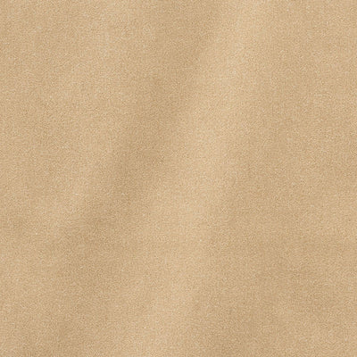 SCHUMACHER FABRICS -64897-SAN CARLO MOHAIR VELVET