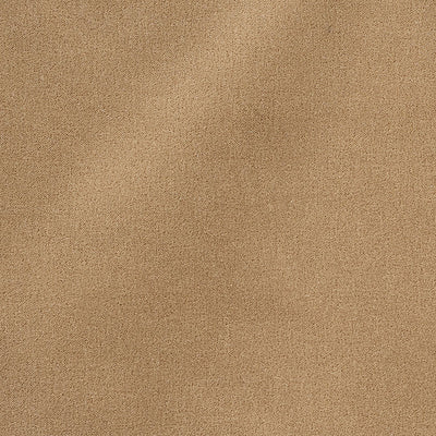 SCHUMACHER FABRICS -64898-SAN CARLO MOHAIR VELVET