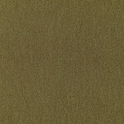 SCHUMACHER FABRICS -64938-PALERMO MOHAIR VELVET