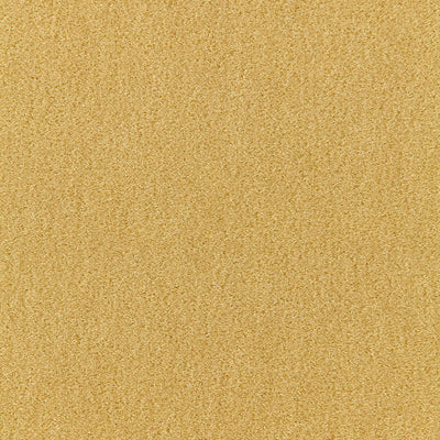SCHUMACHER FABRICS -64939-PALERMO MOHAIR VELVET