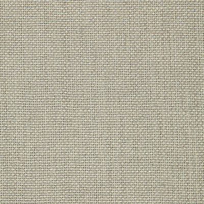 SCHUMACHER FABRICS -65072-CHAUMONT SILK WEAVE