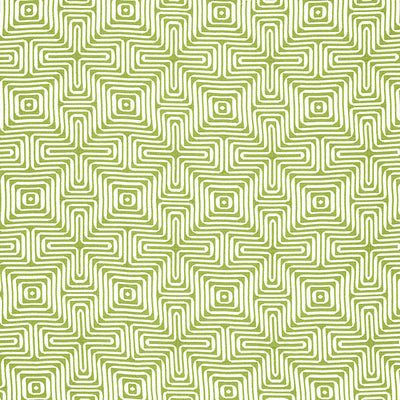 SCHUMACHER FABRICS -65321-AMAZING MAZE