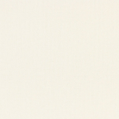 SCHUMACHER FABRICS -65943-PALOMA HERRINGBONE