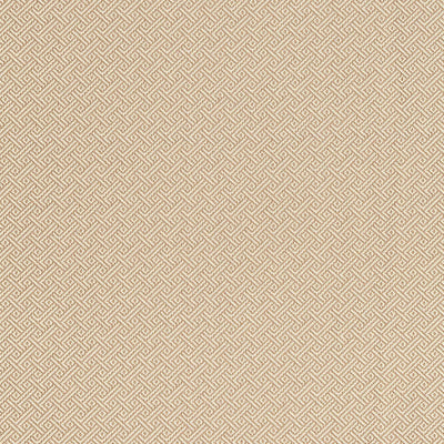 SCHUMACHER FABRICS -66411-PICARD WEAVE