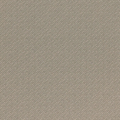 SCHUMACHER FABRICS -66412-PICARD WEAVE