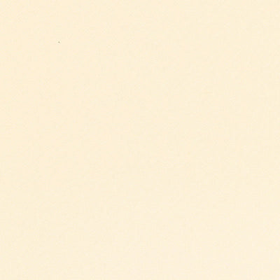 SCHUMACHER FABRICS -66413-PICARD WEAVE
