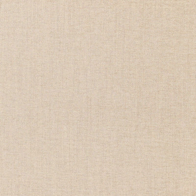 SCHUMACHER FABRICS -66541-RENAIX CHENILLE