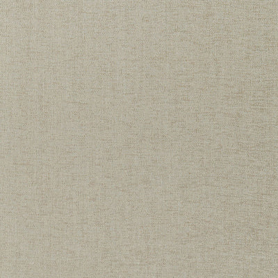 SCHUMACHER FABRICS -66542-RENAIX CHENILLE
