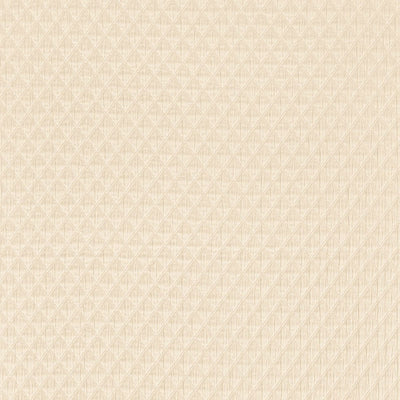 SCHUMACHER FABRICS -66582-LUCCA MATELASSE