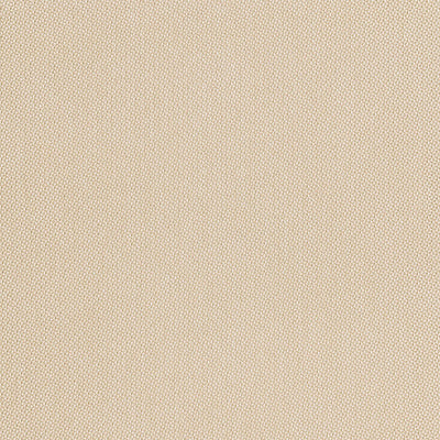 SCHUMACHER FABRICS -66971-HIGHLINE