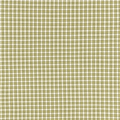 SCHUMACHER FABRICS -67004-ABINGTON SQUARE