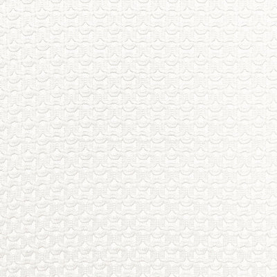 SCHUMACHER FABRICS -67630-RICCARDI SHEER
