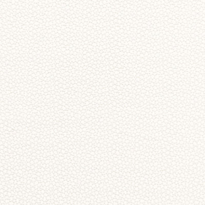 SCHUMACHER FABRICS -67660-ROSSINI SHEER