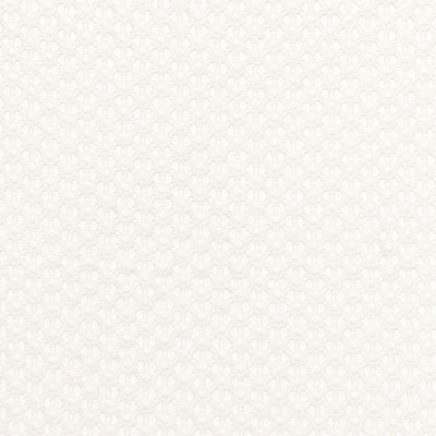 SCHUMACHER FABRICS -67750-COSIMO SHEER