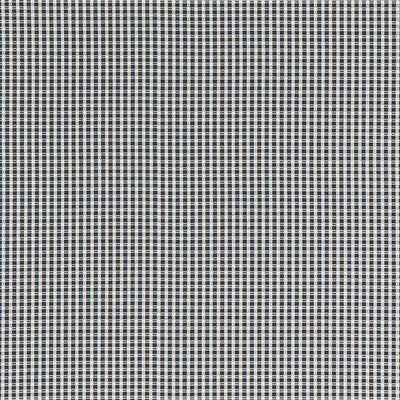 SCHUMACHER FABRICS -68040-ARUBA CHECK
