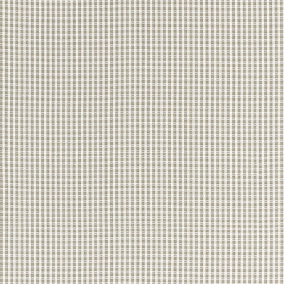 SCHUMACHER FABRICS -68043-ARUBA CHECK
