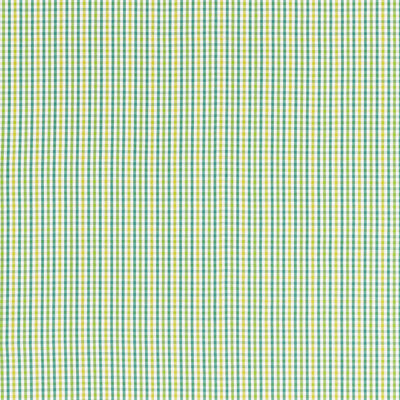 SCHUMACHER FABRICS -68050-BAHAMA CHECK