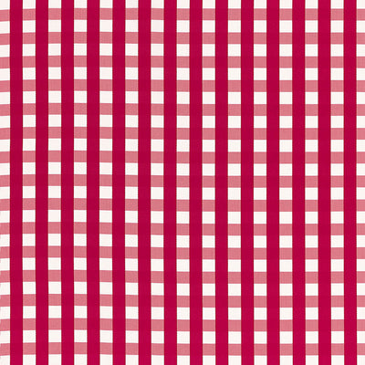 SCHUMACHER FABRICS -68062-BERMUDA CHECK