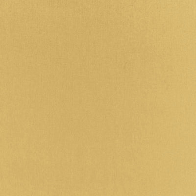 SCHUMACHER FABRICS -68122-SOPHIA VELVET