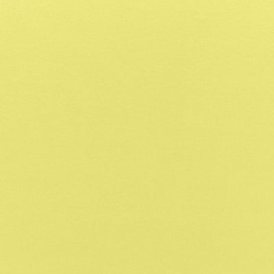 SCHUMACHER FABRICS -68127-SOPHIA VELVET