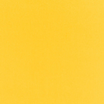 SCHUMACHER FABRICS -68130-SOPHIA VELVET