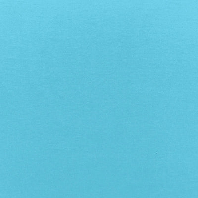 SCHUMACHER FABRICS -68178-SOPHIA VELVET
