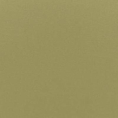SCHUMACHER FABRICS -68194-SOPHIA VELVET