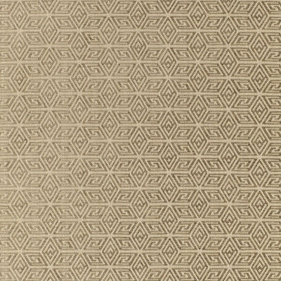 SCHUMACHER FABRICS -68743-COSMATI CHENILLE