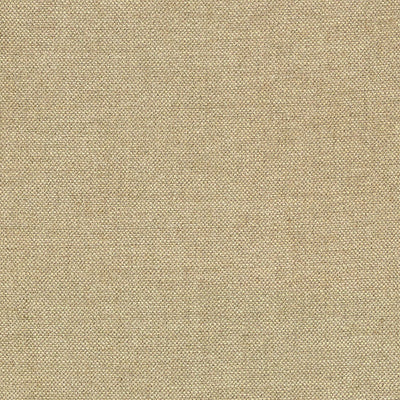 SCHUMACHER FABRICS -69053-AUDEN