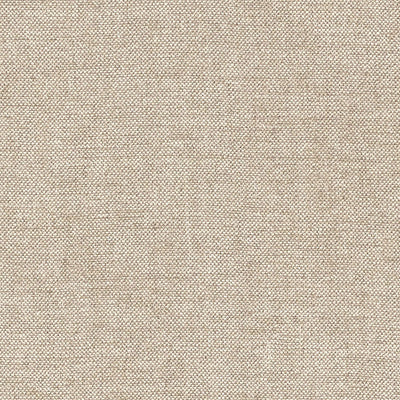 SCHUMACHER FABRICS -69054-AUDEN