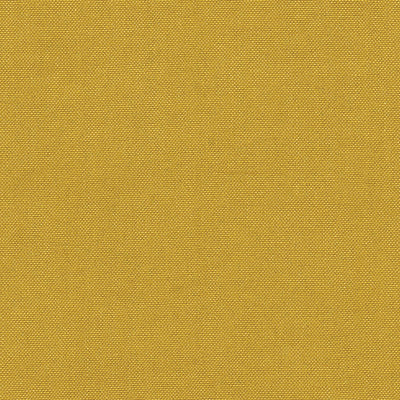 SCHUMACHER FABRICS -69396-BARNETT