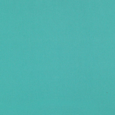 SCHUMACHER FABRICS -69540-ELLIOTT BRUSHED COTTON