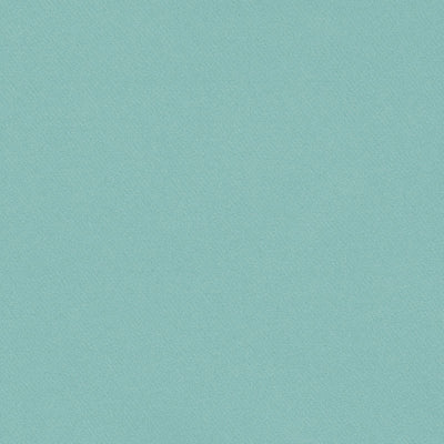 SCHUMACHER FABRICS -69567-BLAKE POLISHED COTTON