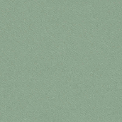 SCHUMACHER FABRICS -69568-BLAKE POLISHED COTTON