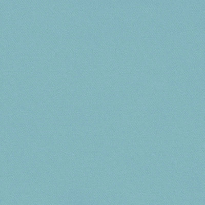 SCHUMACHER FABRICS -69571-BLAKE POLISHED COTTON