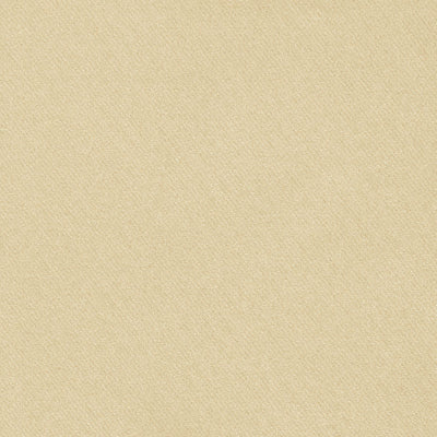 SCHUMACHER FABRICS -69589-BLAKE POLISHED COTTON
