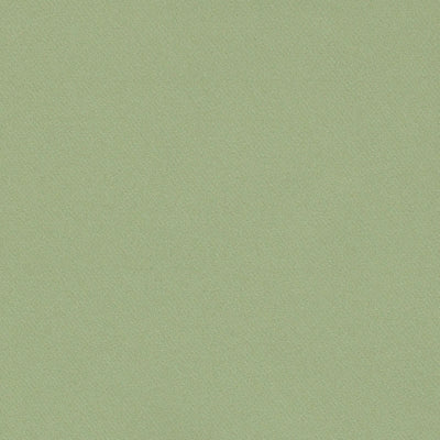 SCHUMACHER FABRICS -69591-BLAKE POLISHED COTTON