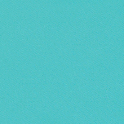SCHUMACHER FABRICS -69596-BLAKE POLISHED COTTON