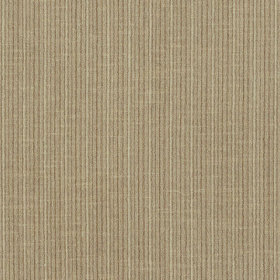 SCHUMACHER FABRICS -69741-ANTIQUE STRIE VELVET