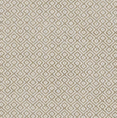 SCHUMACHER FABRICS -69810-LESSING
