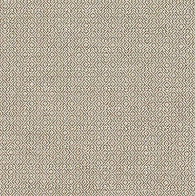 SCHUMACHER FABRICS -69830-MAMET