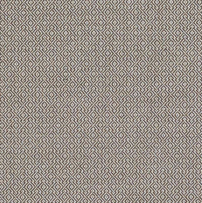SCHUMACHER FABRICS -69831-MAMET