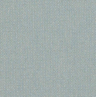 SCHUMACHER FABRICS -69832-MAMET