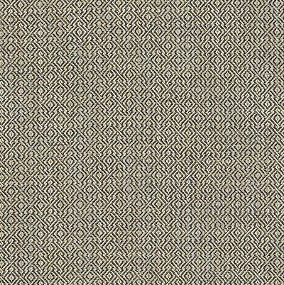 SCHUMACHER FABRICS -69834-MAMET