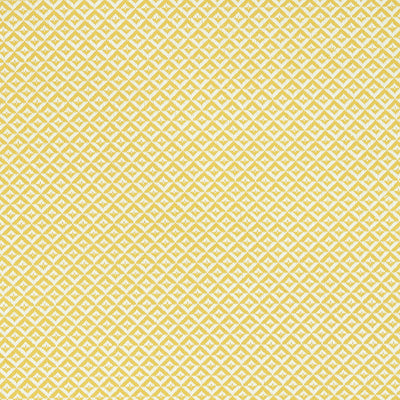 SCHUMACHER FABRICS -69840-JAMISON