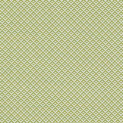 SCHUMACHER FABRICS -69841-JAMISON