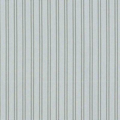 SCHUMACHER FABRICS -69863-MORRISON